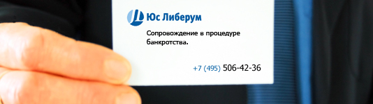Банкротство физических и юридических лиц в 2024 году. Москва